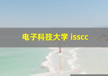 电子科技大学 isscc